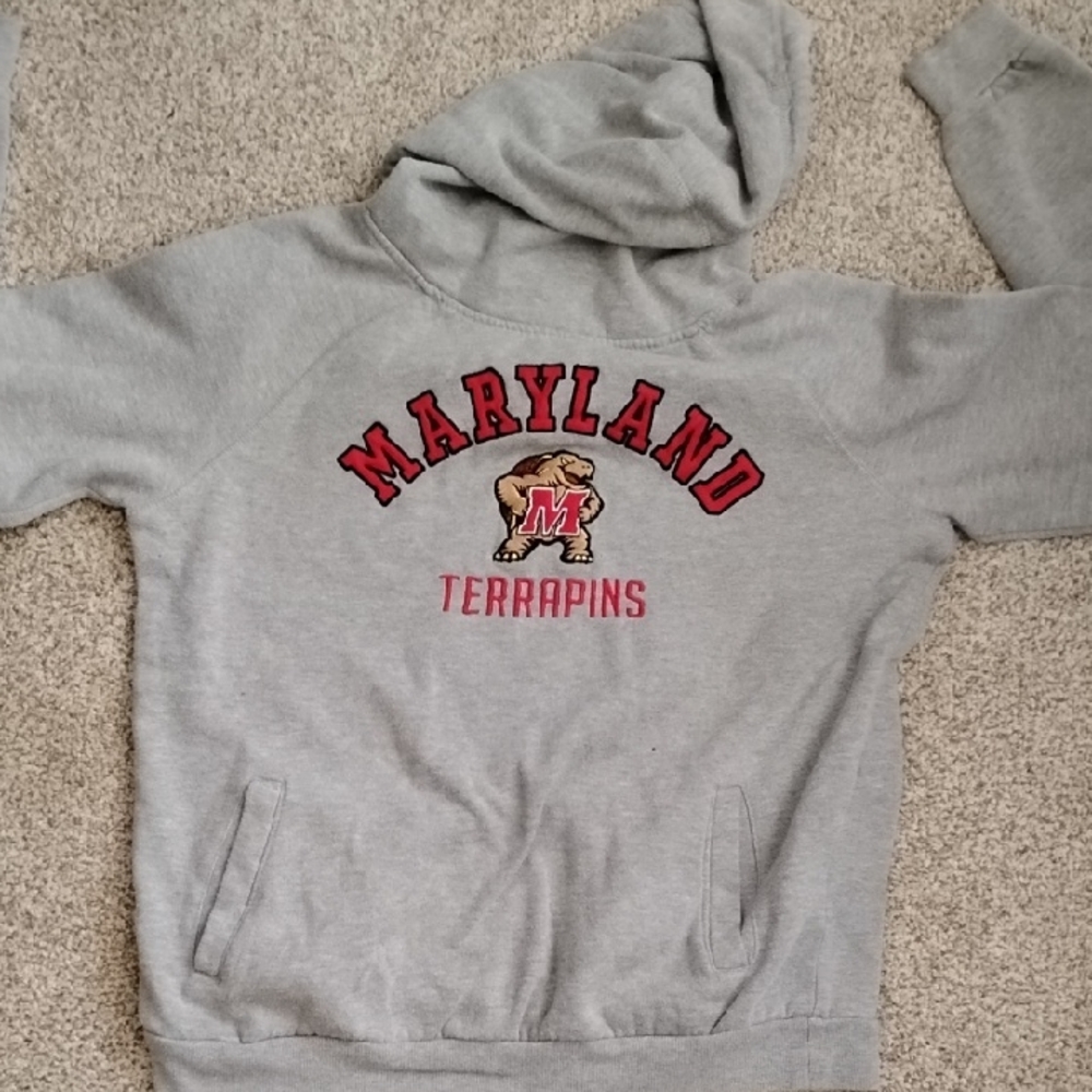 Colosseum Gray and Red Hoodie